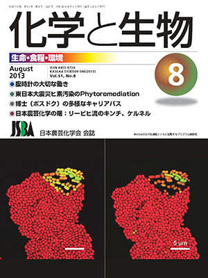 vol51_8