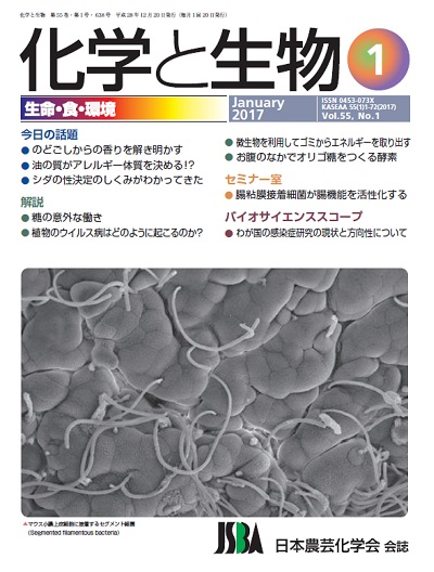 vol55_1