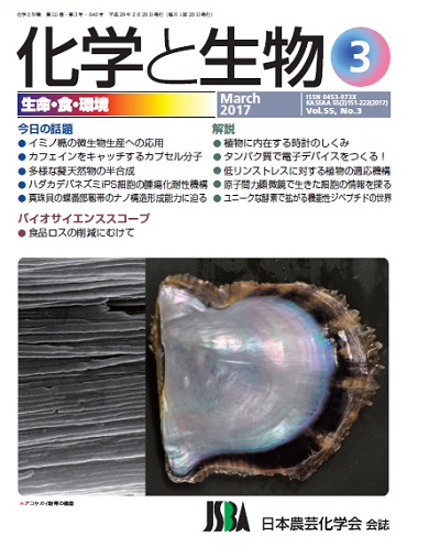 vol55_3