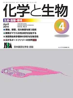 vol52_4