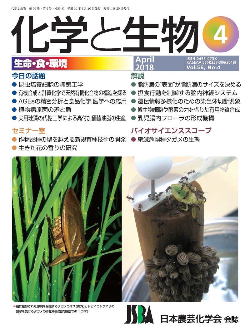 vol56_4