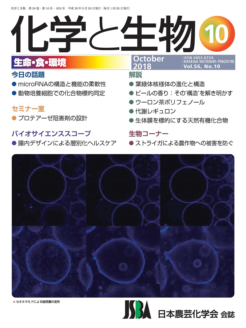 vol56_10