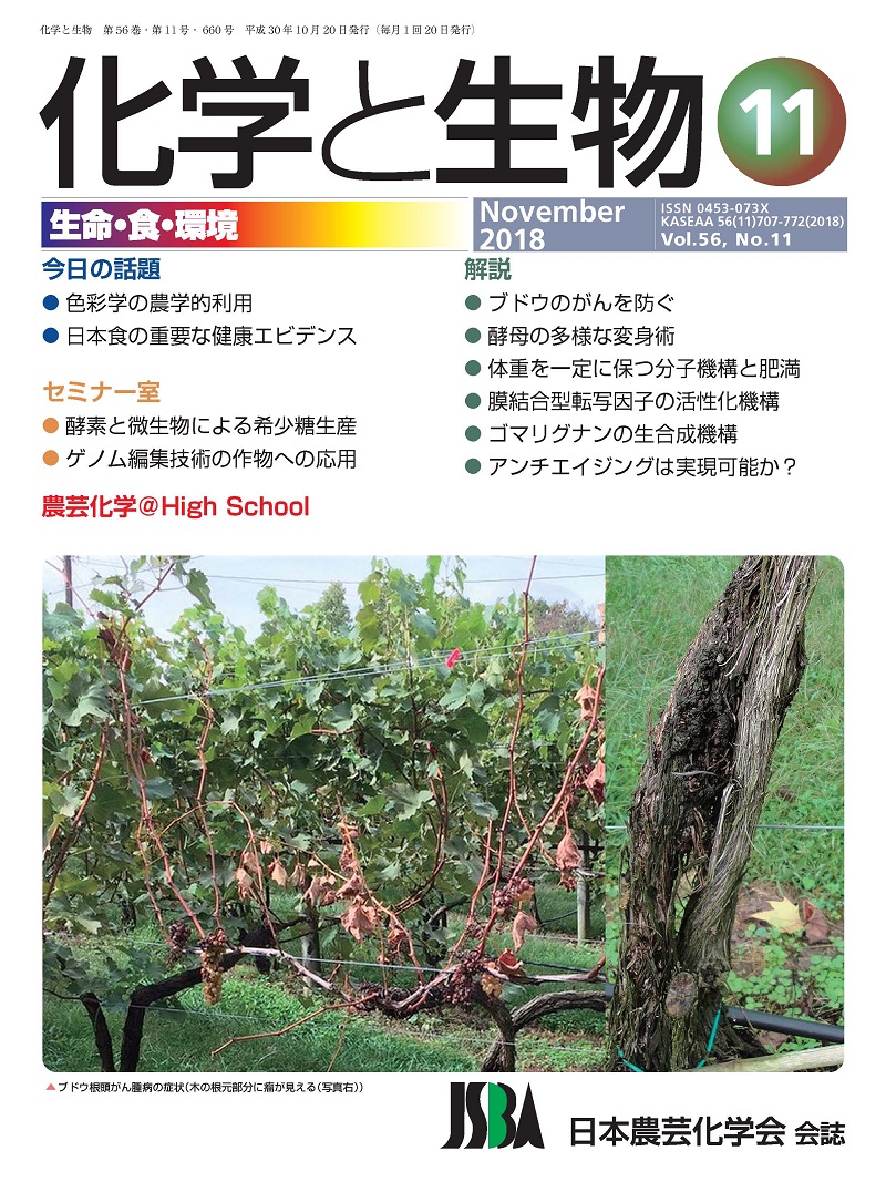 vol56_11