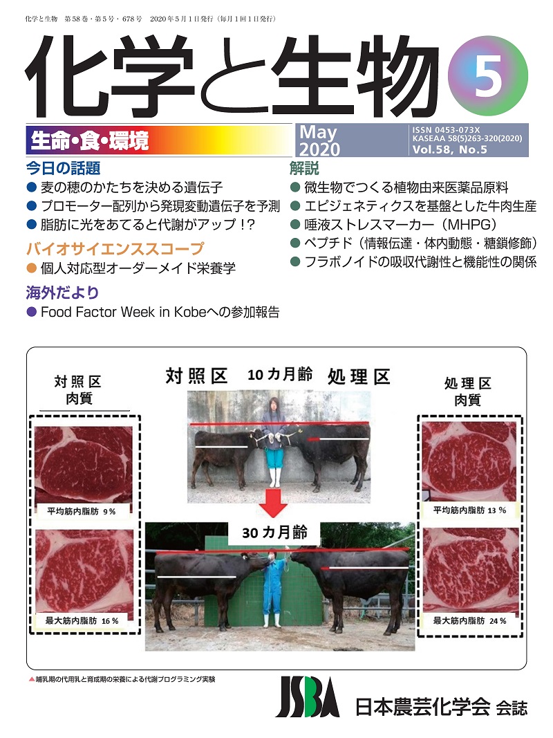 vol58_5