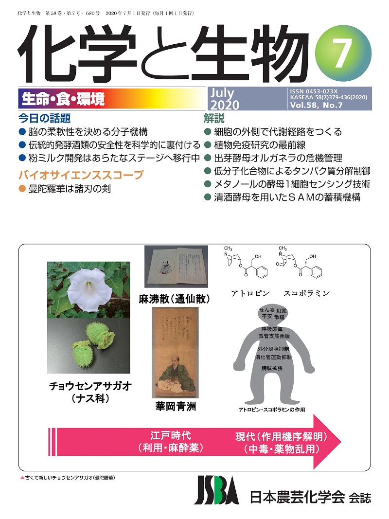 vol58_7