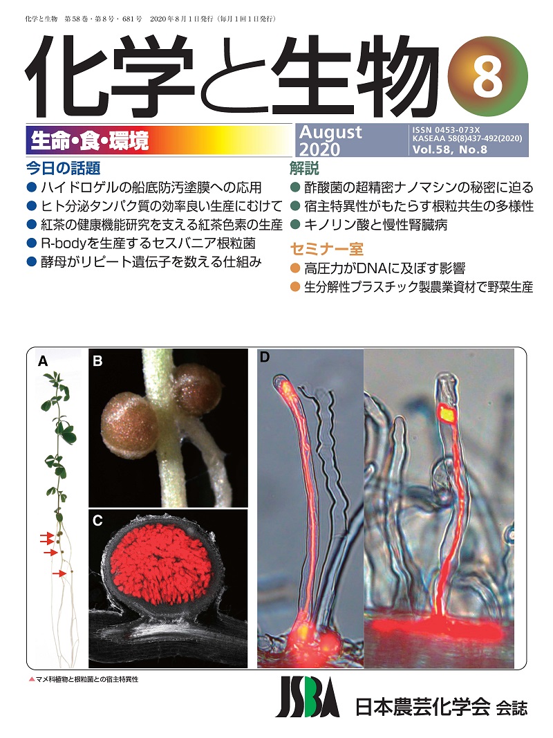 vol58_8