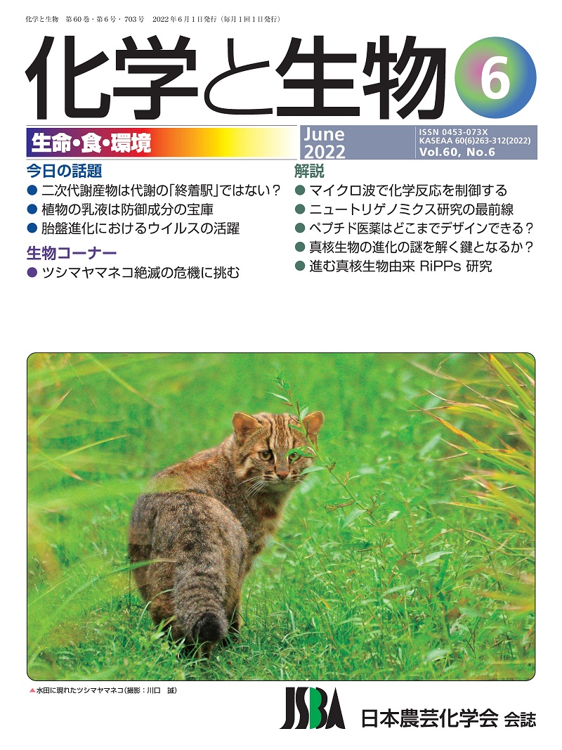 vol60_6