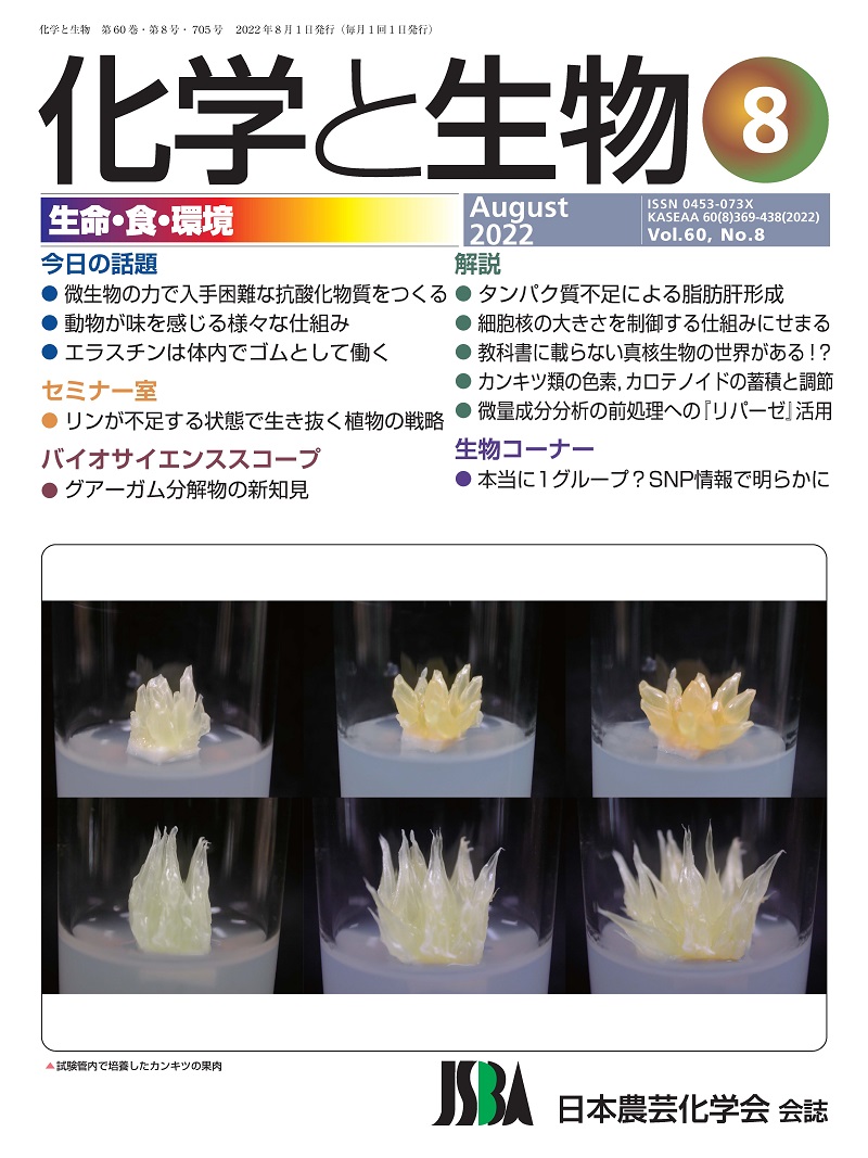 vol60_8