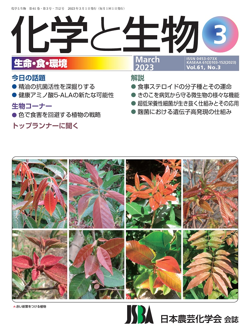 vol61_3