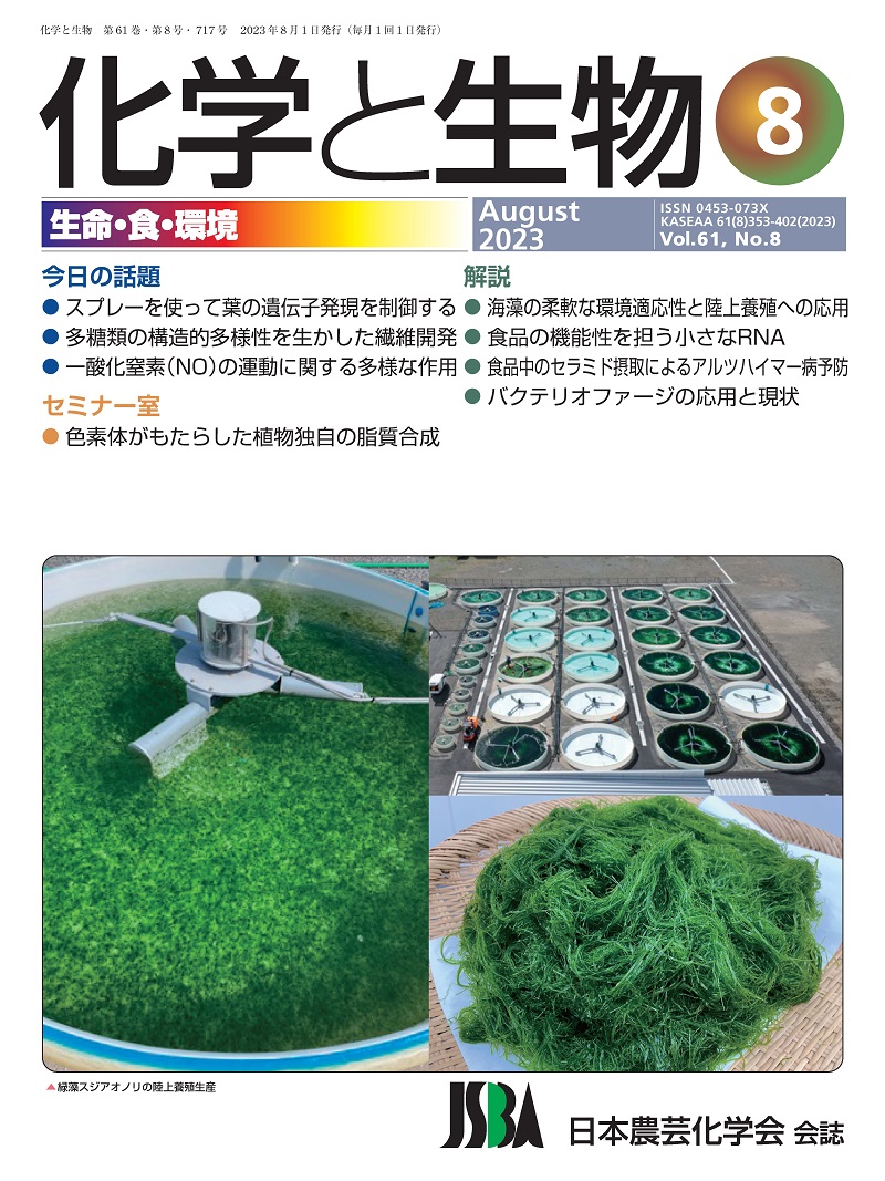 vol61_8