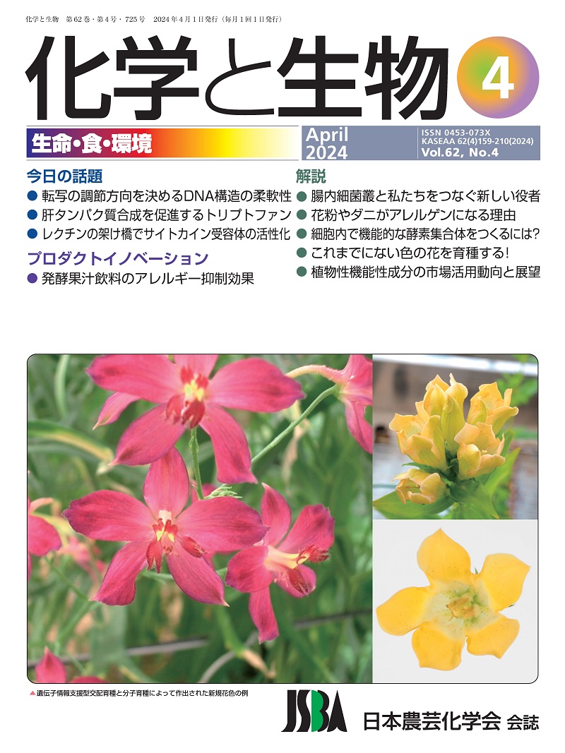 vol62_4