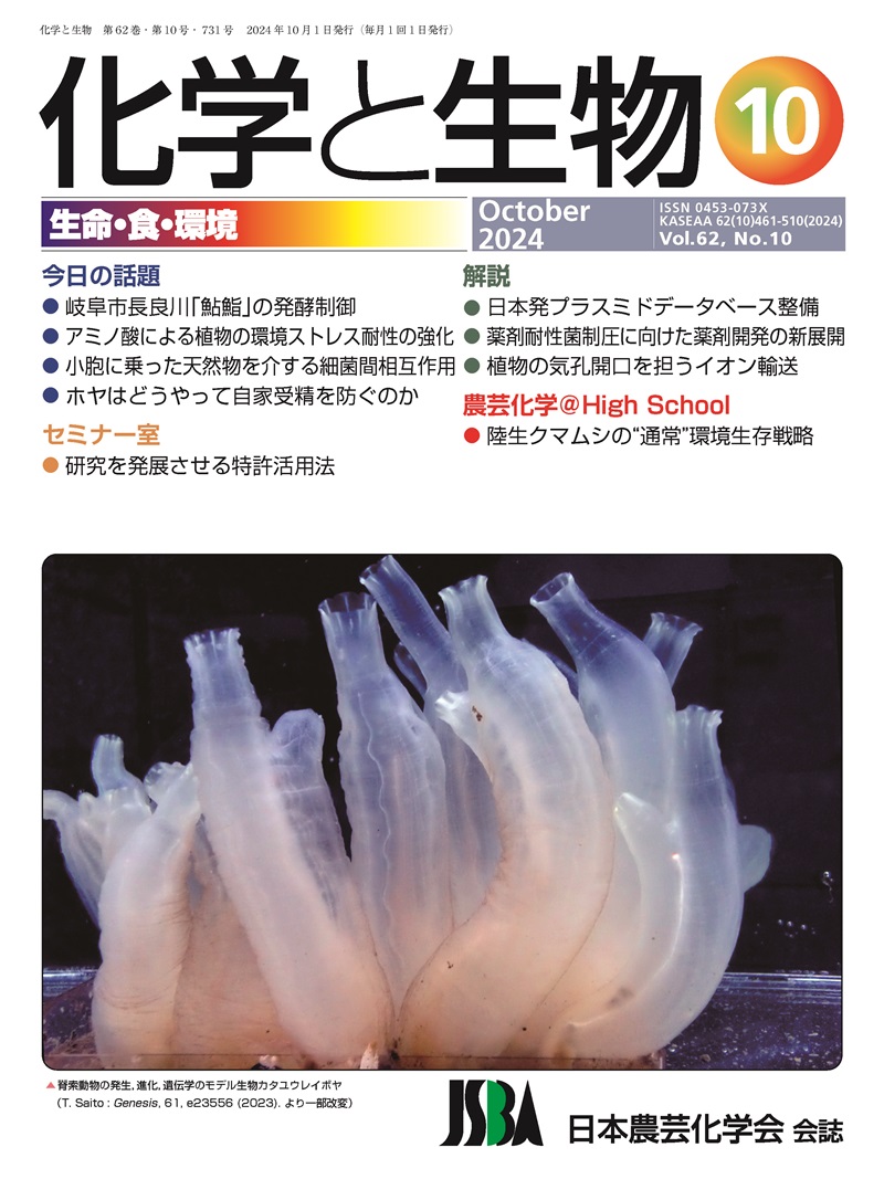 vol62_10