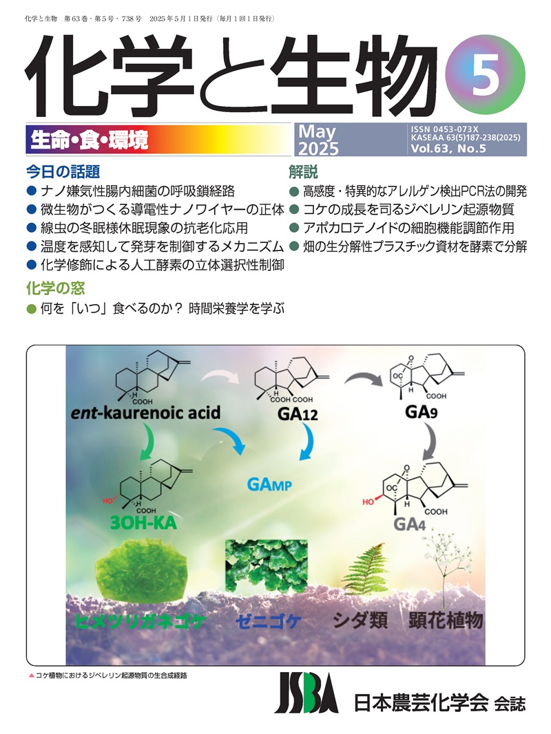 vol63_5