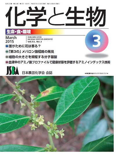 vol53_3