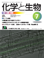vol49_7