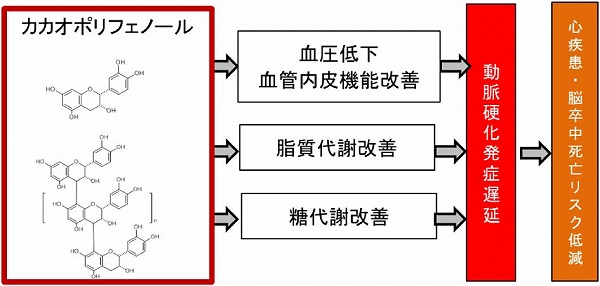vol56_7