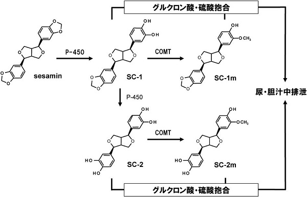 vol56_9