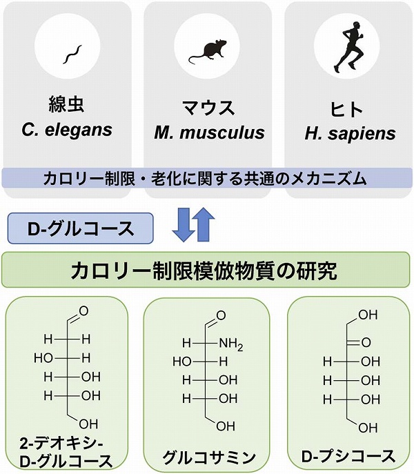 vol56_12