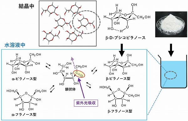 化学と生物 - 日本農芸化学会 - | Vol.56 No.12 | 希少糖の分子構造と物性