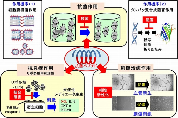 vol57_5