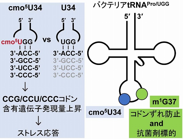 vol58_3