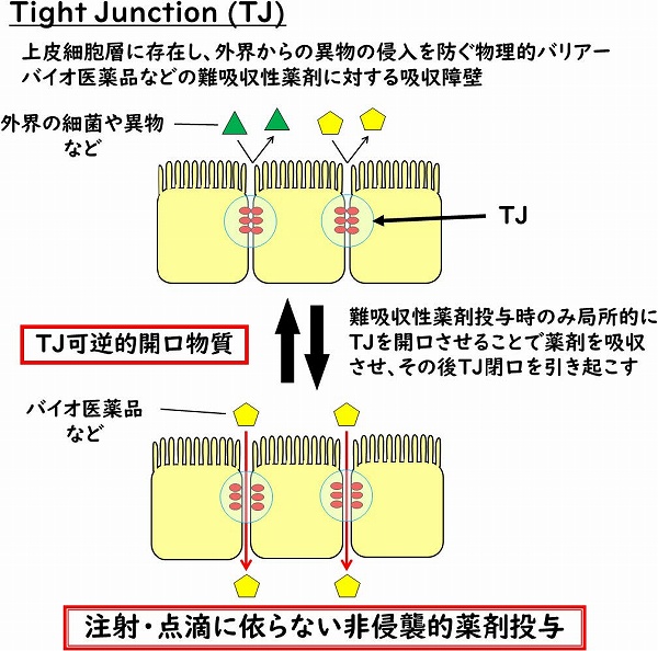 vol58_4