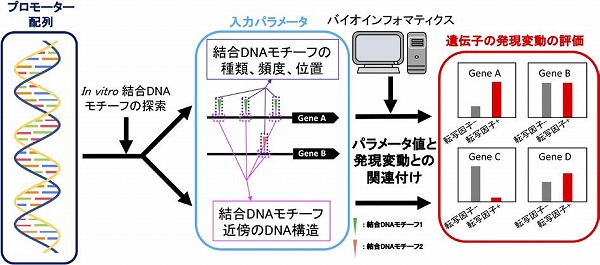 vol58_5