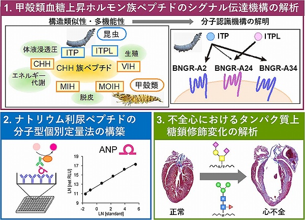 vol58_5