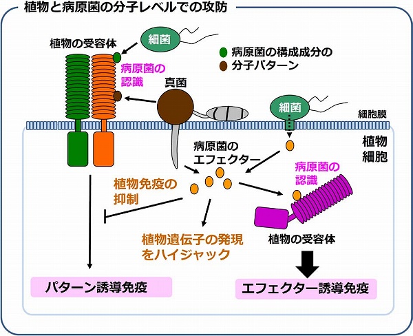 vol58_7