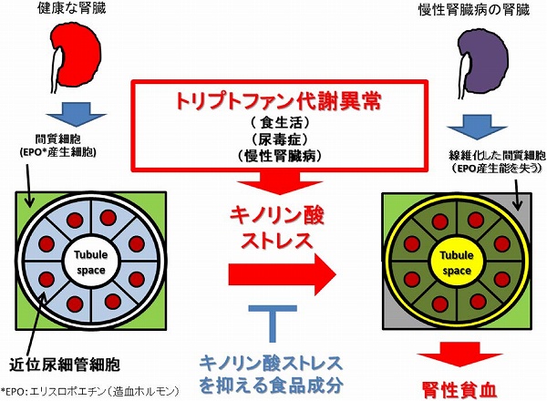 vol58_8