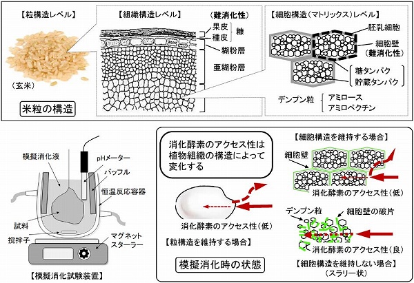 vol58_11