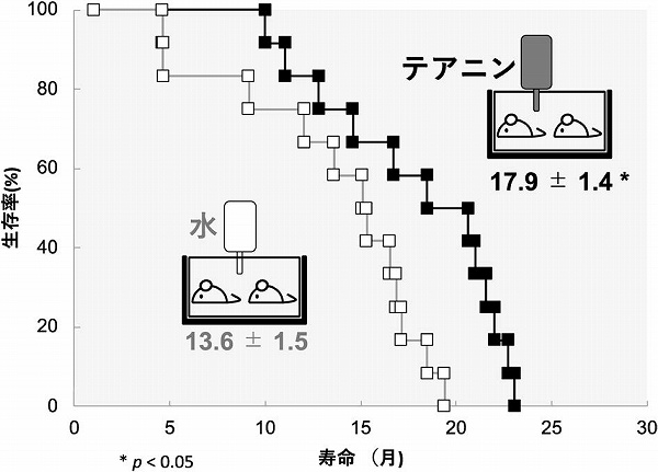 vol58_12