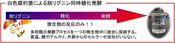 vol59_3