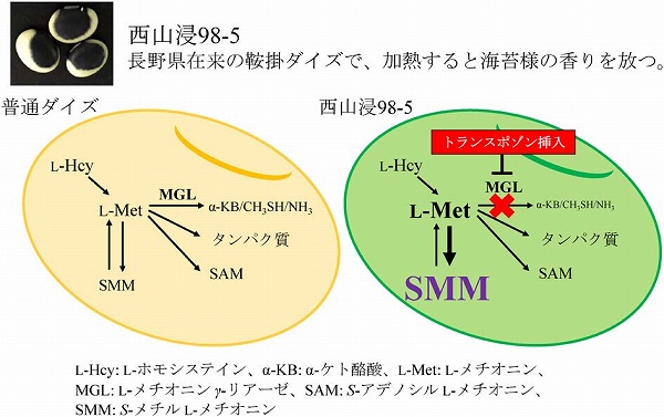 vol59_9