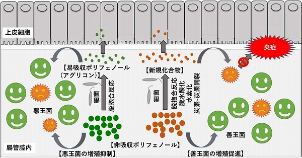 vol60_4