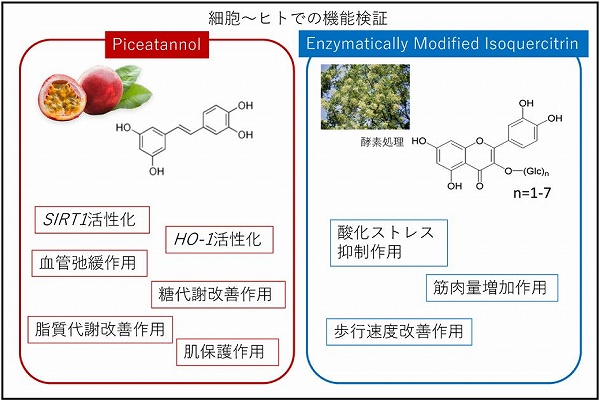 vol60_5