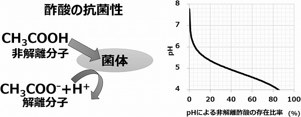 化学と生物 - 日本農芸化学会 - | Vol.61 No.1 | 食品添加物による 