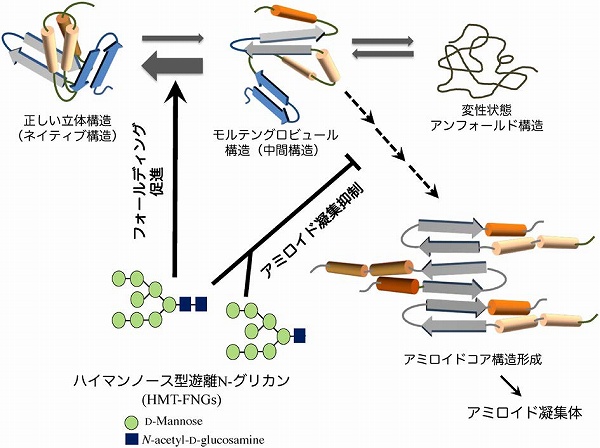 【ファッション通販】の商品をすべて - 化学と生物 日本農芸化学会 遊離<i>N</i | No.2 Vol.61 | - 語学・辞書・学習参考書