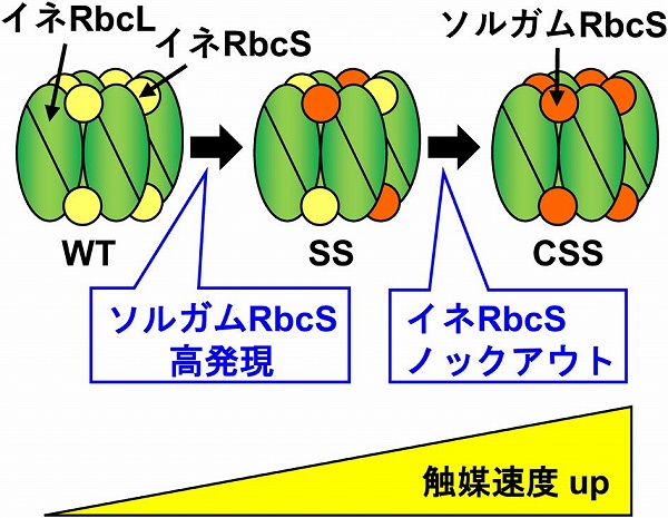 vol61_5