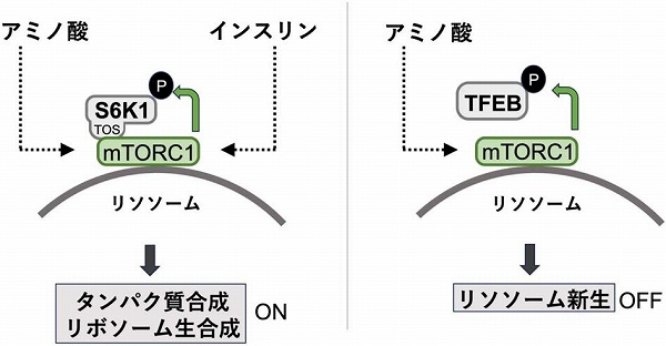 vol62_1