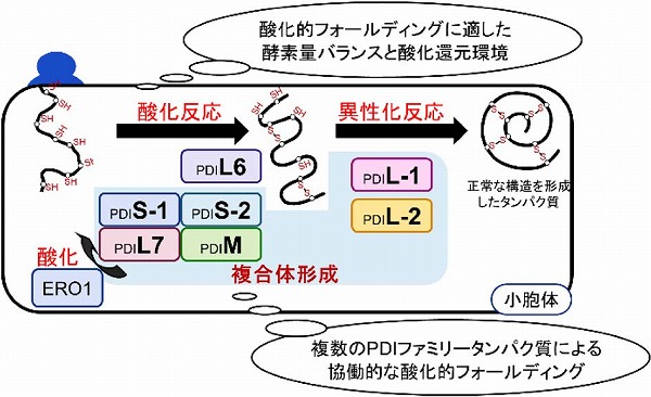 vol63_4
