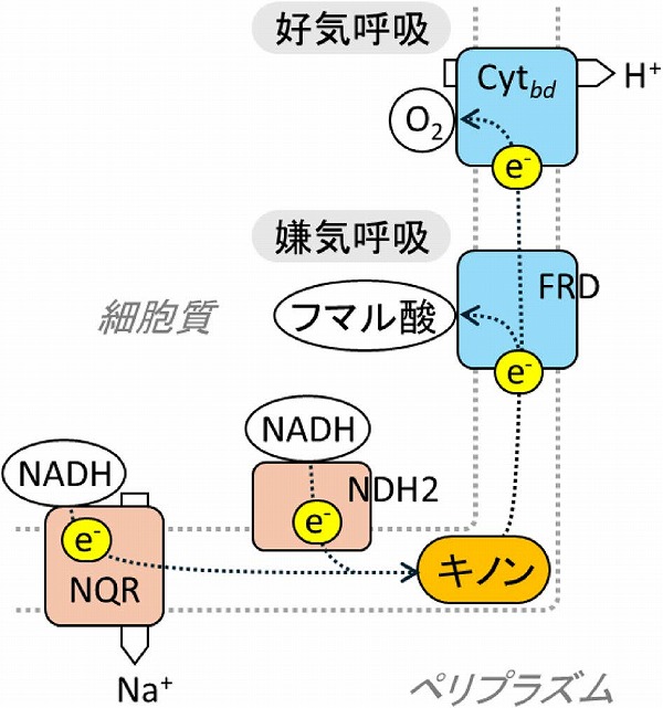 vol63_5
