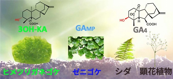 vol63_5