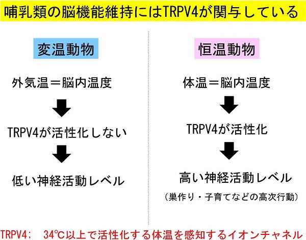 vol63_6