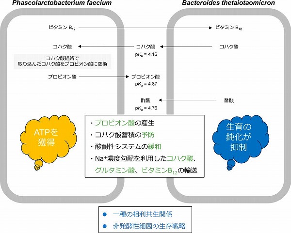 vol63_6