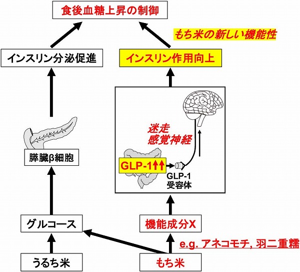 vol63_7