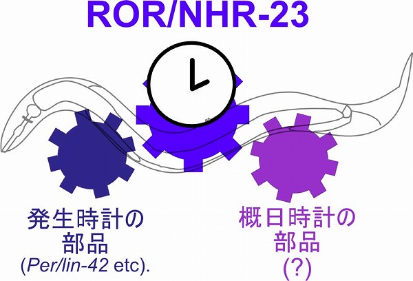 vol63_7