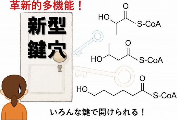 vol63_8