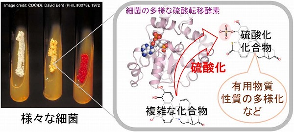 vol63_8
