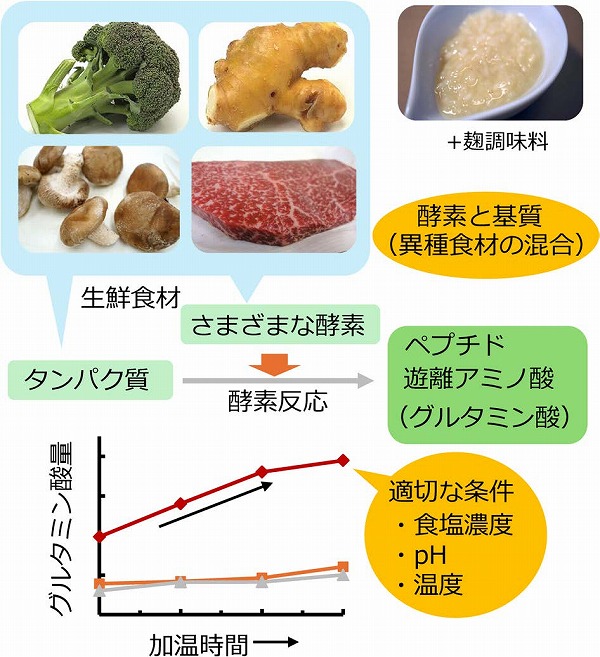 vol63_9